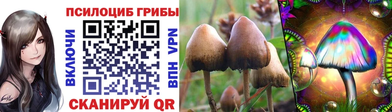 Галлюциногенные грибы прущие грибы Юрьев-Польский